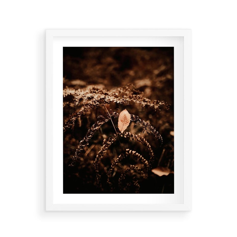 Plakat w ramie 40x50 - Gałęzie i Liść w Brązowej Tonacji - suche gałęzie, liść - rama biała