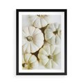 Plakat w ramie 50x70 - Jesienne Dynie: Delikatna Kompozycja - białe dynie, jasna kompozycja - rama czarna