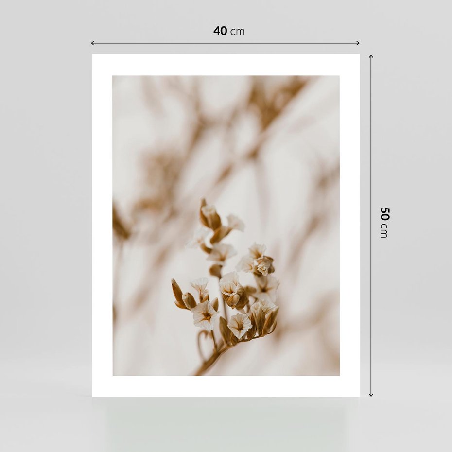 Plakat bez ramy 40x50 - Kwiatowa suchość - kwiaty, susz