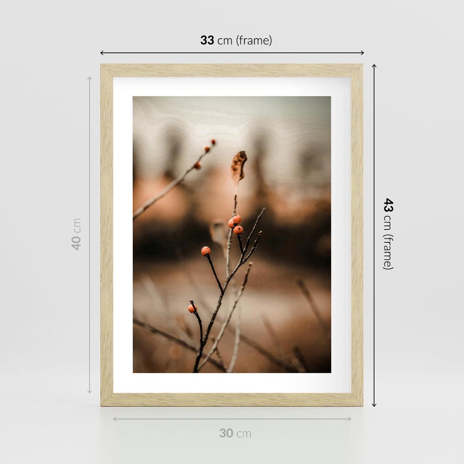 Plakat w ramie 30x40 - Jarzębina w Pejzażu - jesień, gałązka - rama drewno