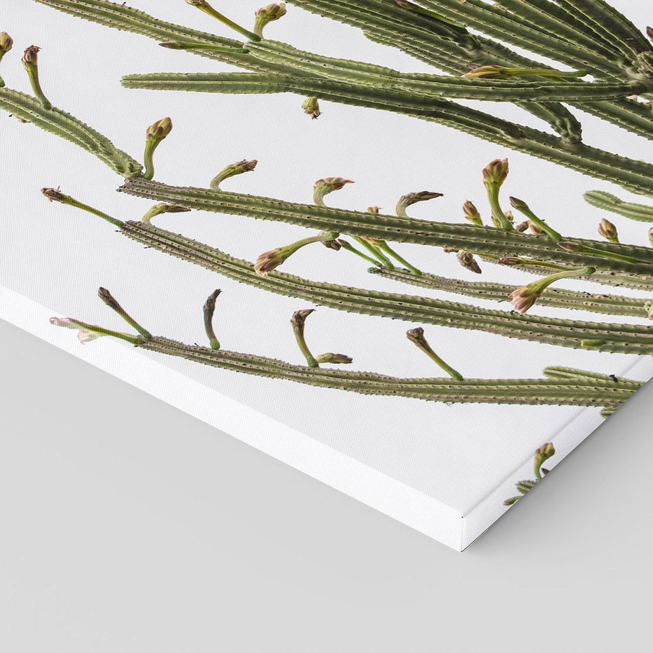 Obraz na płótnie 70x70 - Ekskluzywna Roślinność - kaktusy, liście