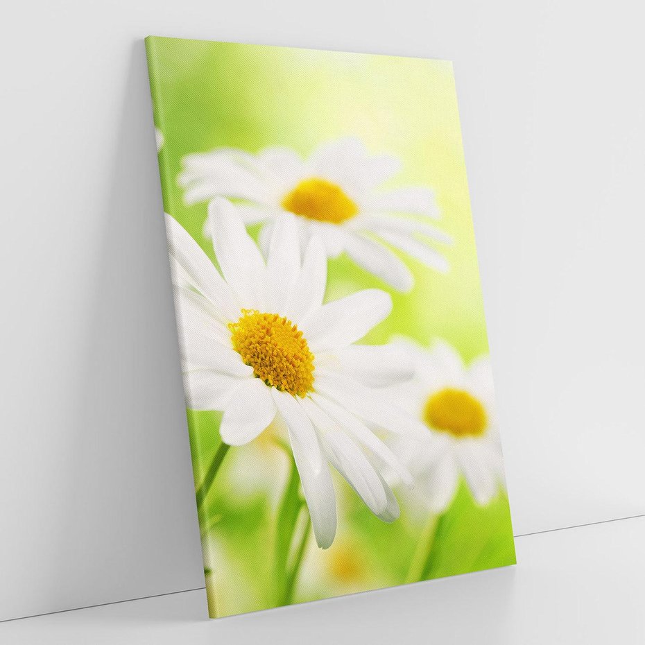 Obraz na płótnie 50x70 - Stokrotka: delikatność natury - stokrotka, kwiat