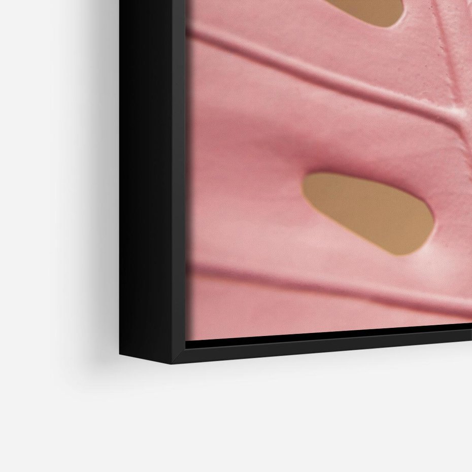 Obraz w ramie 50x50 - Różowa monstera w pełnym rozkwicie - różowa, monstera - rama czarna