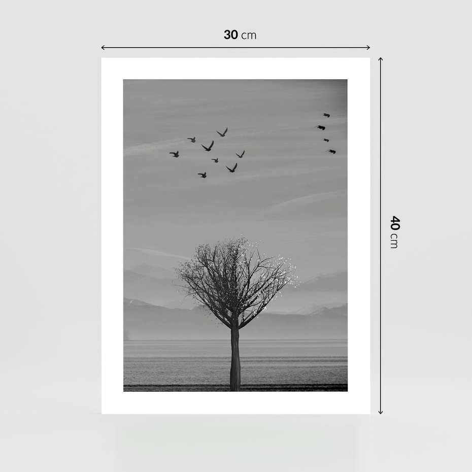 Plakat bez ramy 30x40 - Samotne Drzewo - samotne drzewo w polu, czarno białe zdjęcie