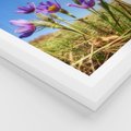 Plakat w ramie 50x70 - Kwiatowa siła łąki - kwiaty, łąka - rama biała