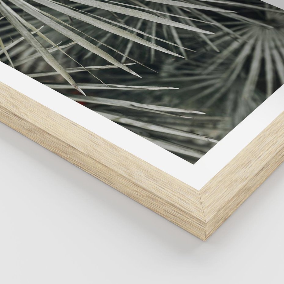 Plakat w ramie 40x50 - Ujęcie Tropikalnej Natury - palmy, liście palmy - rama drewno
