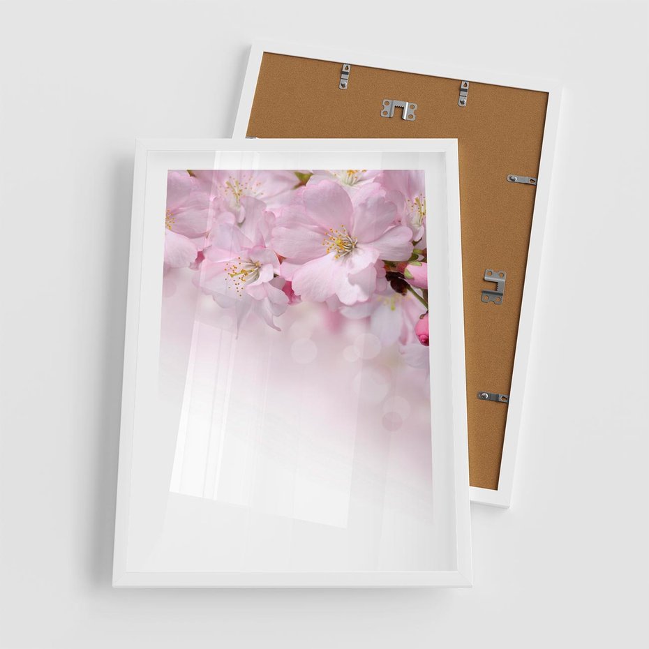 Plakat w ramie 50x70 - Kwitnąca Wiśnia - kwiaty, kwitnącej - rama biała