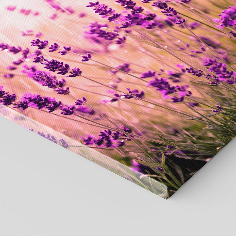 Obraz na płótnie 80x80 - Lawenda: Pachnące pole kwiatów - kwiaty, lawenda