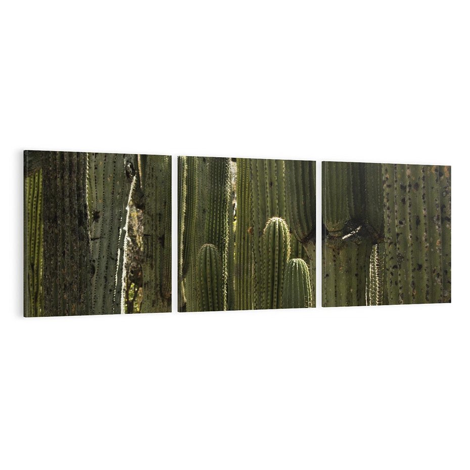 Obraz na płótnie 120x40 - Wyjątkowy Klimat Boho - kaktusy, pustynia