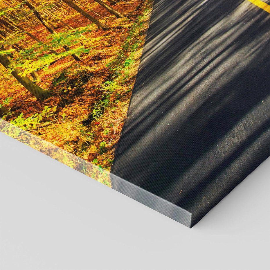 Obraz na płótnie 120x80 - Droga przez jesienny las - droga, las