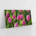 Obraz na płótnie 120x60 - Tulipanowa harmonia - tulipany, kwiaty
