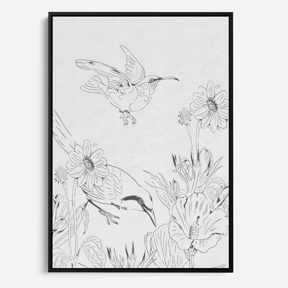 Obraz w ramie 50x70 - Tropiki w Monochromie - czarno biały szkic, tropikalne ptaki - rama czarna