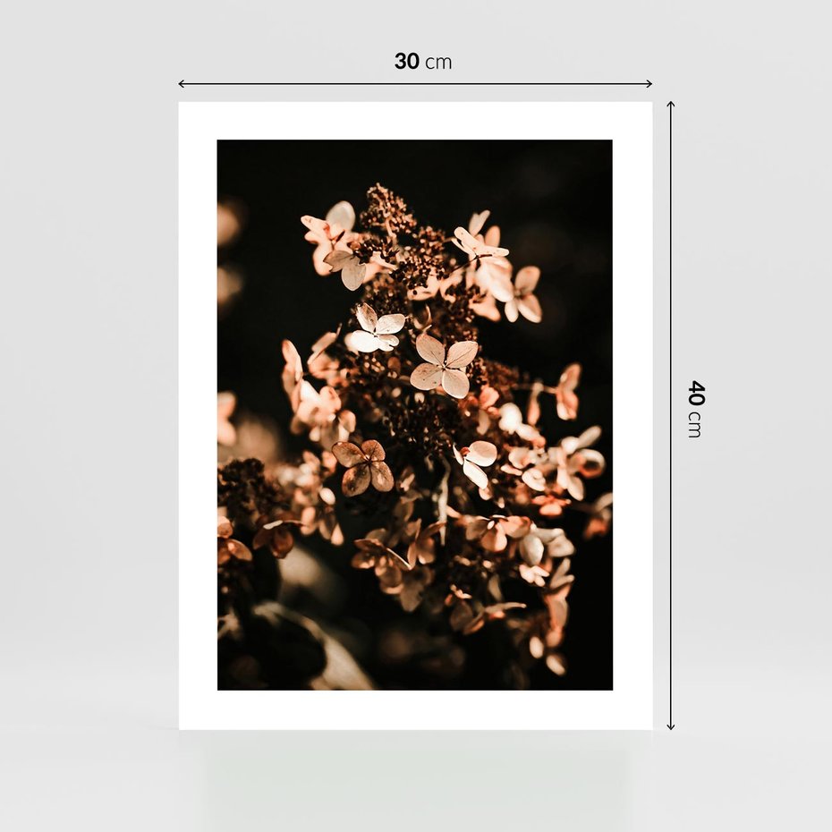 Plakat bez ramy 30x40 - Hortensja - Suchy Kwiat w Sztuce - hortensja, suchy kwiat