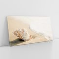 Obraz na płótnie 100x50 - Urok plażowej muszelki - fotografia, muszla na plaży