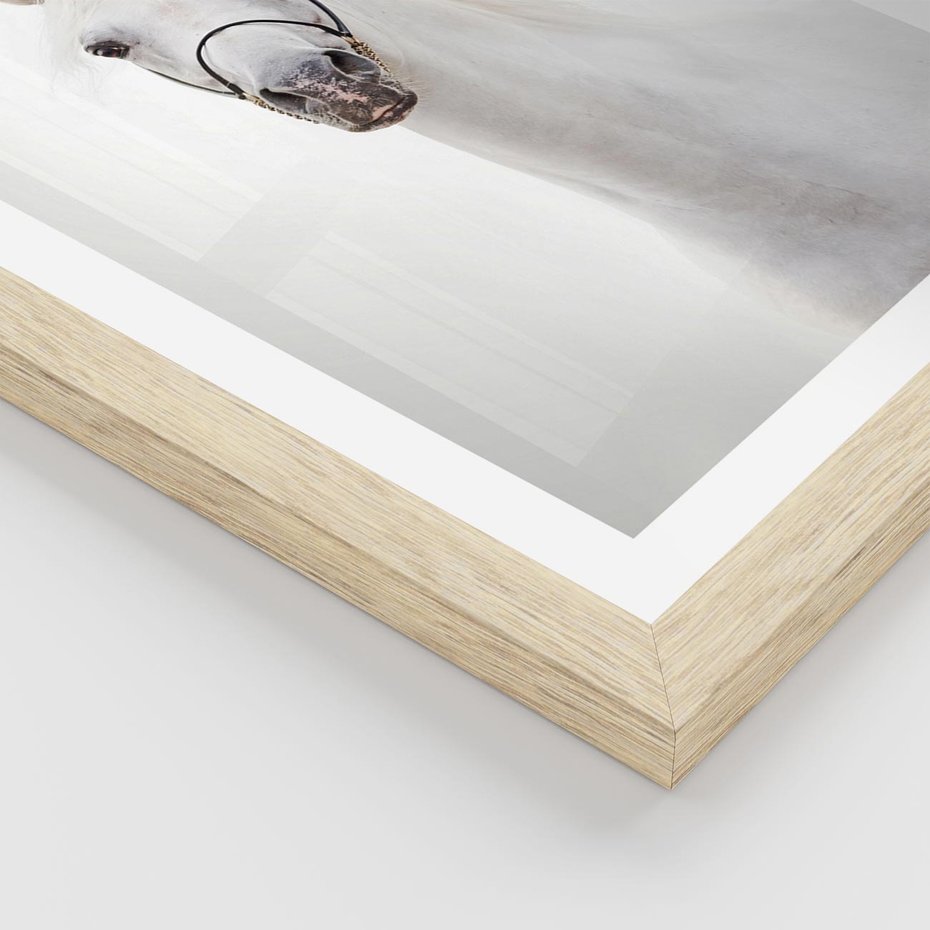 Plakat w ramie 30x40 - Elegancja białego konia - biały, koń - rama drewno