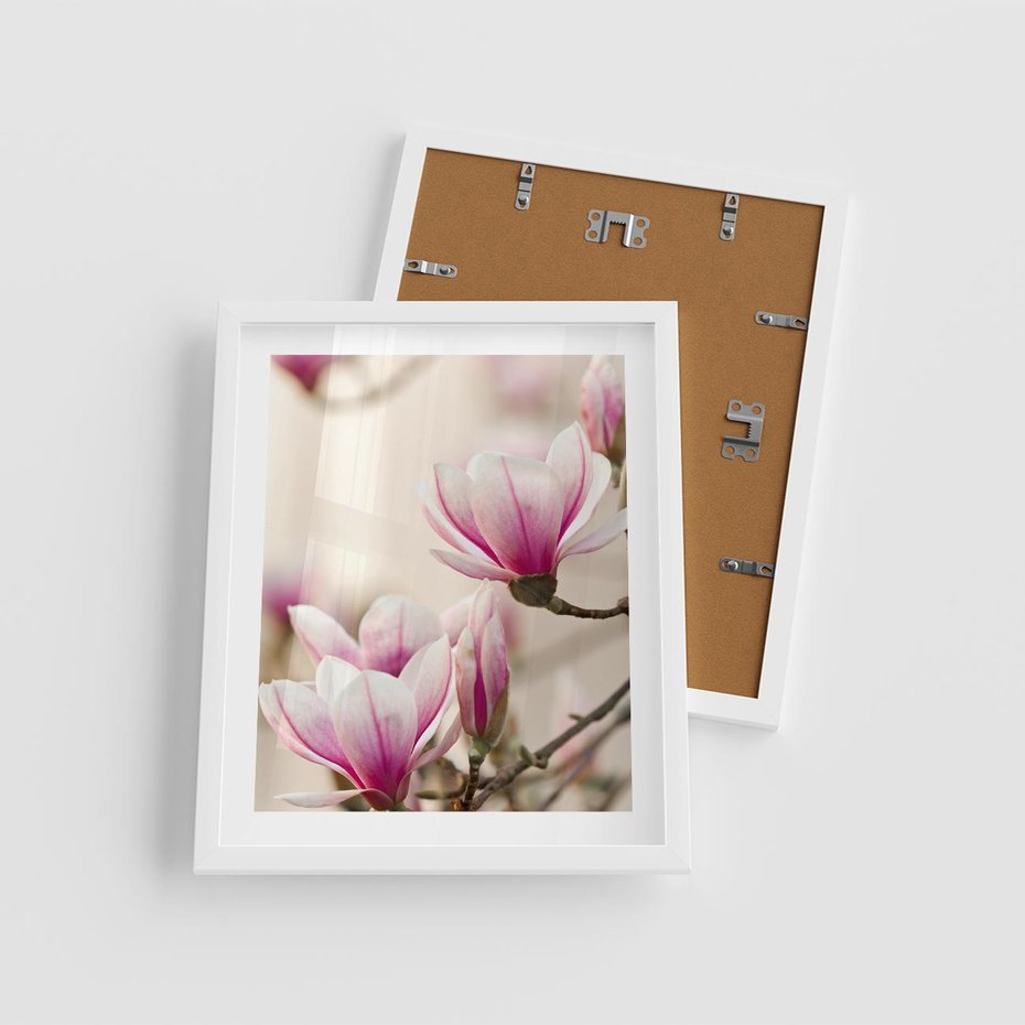 Plakat w ramie 40x50 - Urok Magnolii - magnolie, kwiaty - rama biała