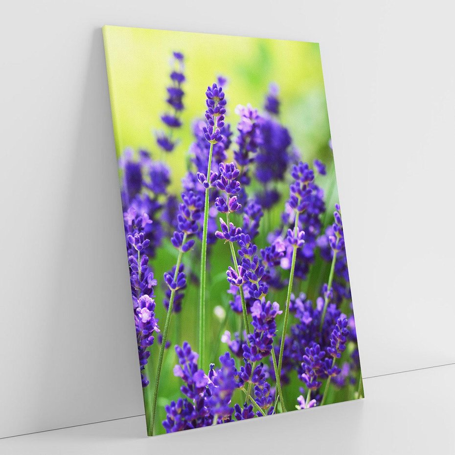 Obraz na płótnie 80x120 - Elegancka lawenda w pełnym rozkwicie - lawenda, kwiaty