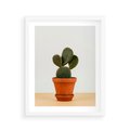 Plakat w ramie 40x50 - Kwiatowy taniec kaktusa - kaktus, kwiat - rama biała