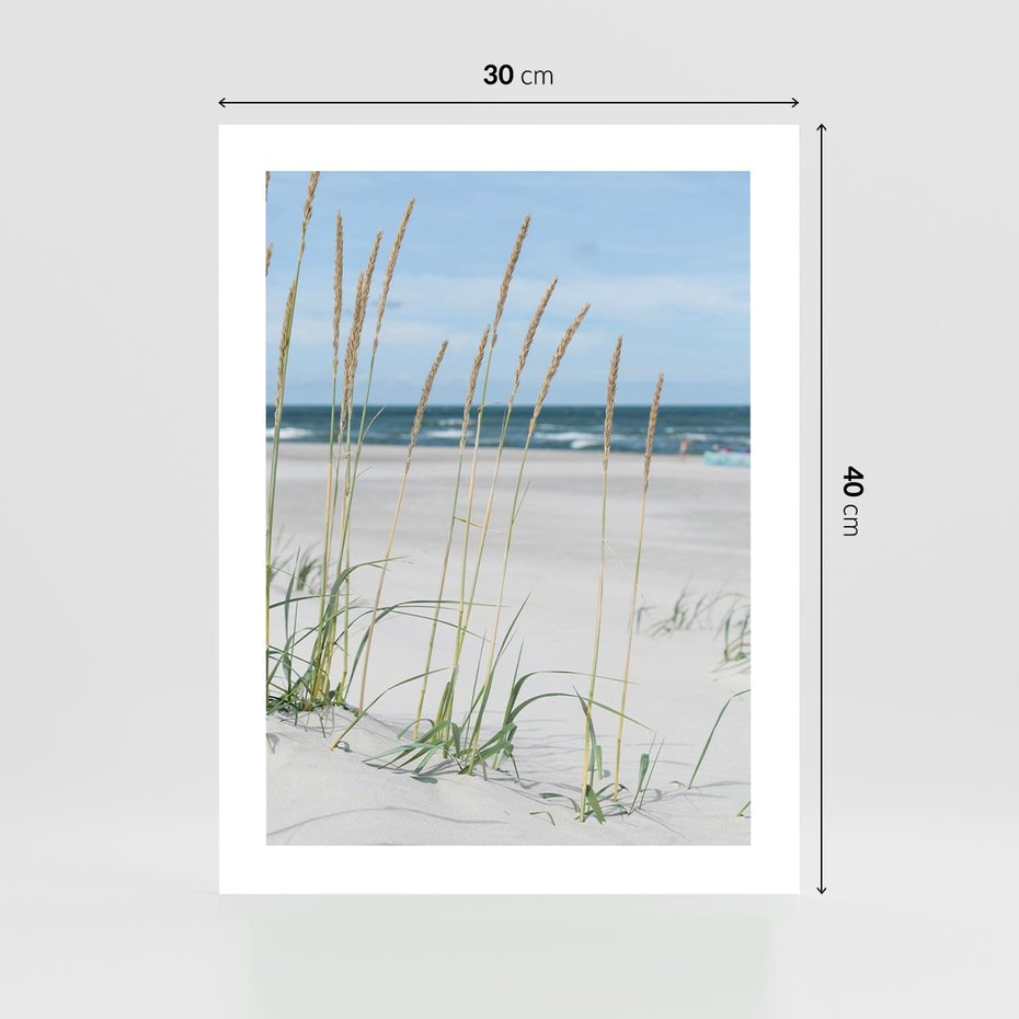 Plakat bez ramy 30x40 - Przytulna Śródziemnomorska Trawa - plaża, trawy