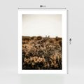 Plakat bez ramy 30x40 - Krajobraz W Naturze: Beże i Brązy - suche krzewy, natura