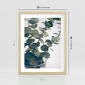 Plakat w ramie 30x40 - ukaliptusowa Harmonia - liście eukaliptusa - rama drewno