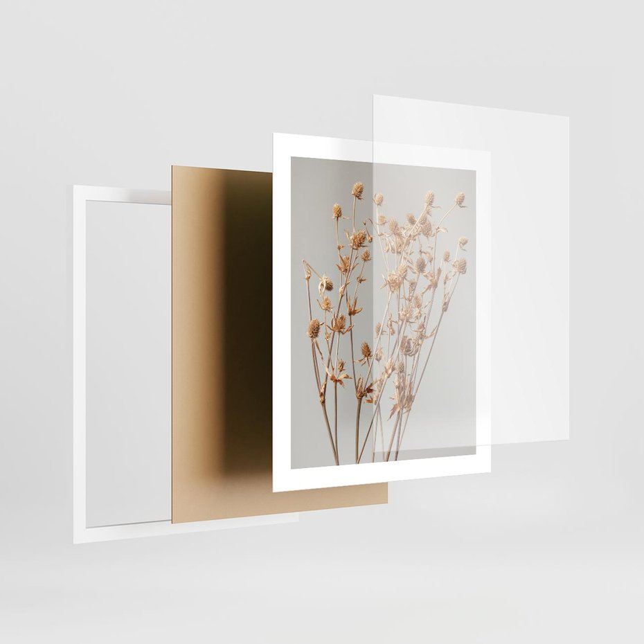 Plakat w ramie 40x50 - Delikatne gipsówki - gipsówka, suche - rama biała