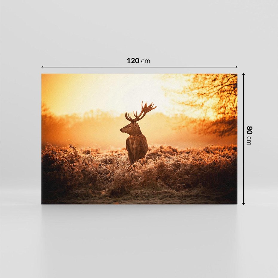 Obraz na płótnie 120x80 - Magia jesiennego słońca: Jeleń w promieniach - jeleń, jesień