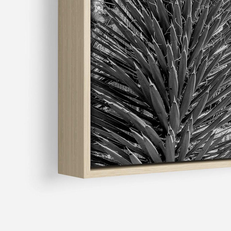 Obraz w ramie 70x50 - Pustynny Klimat - czarno białe zdjecie, pustynia - rama drewno