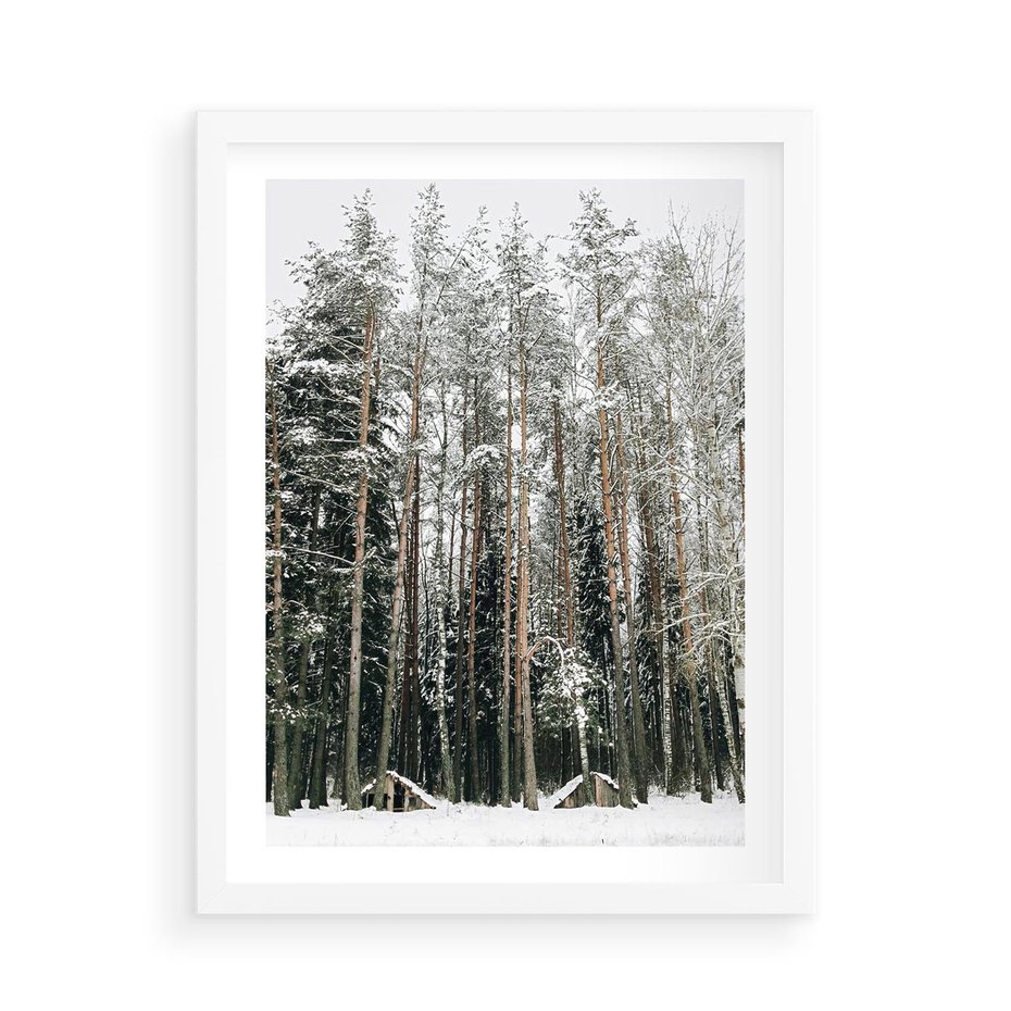 Plakat w ramie 50x70 - Sypiący Śnieg - las w zimie, drzewa pod śniegiem - rama biała