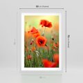 Plakat w ramie 50x70 - Makowa Pasja - maki, kwiaty - rama biała