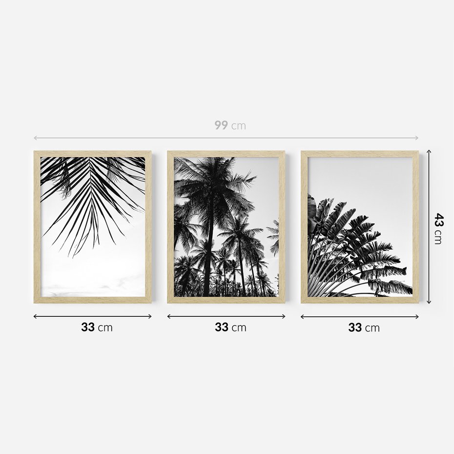 Zestaw obrazy w ramie 30x40 galeria - Palmy, czarno, biały, minimalizm - rama drewno