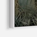 Obraz w ramie 80x80 - Światło w mroku duszy - liście traw, mroczny klimat - rama biała