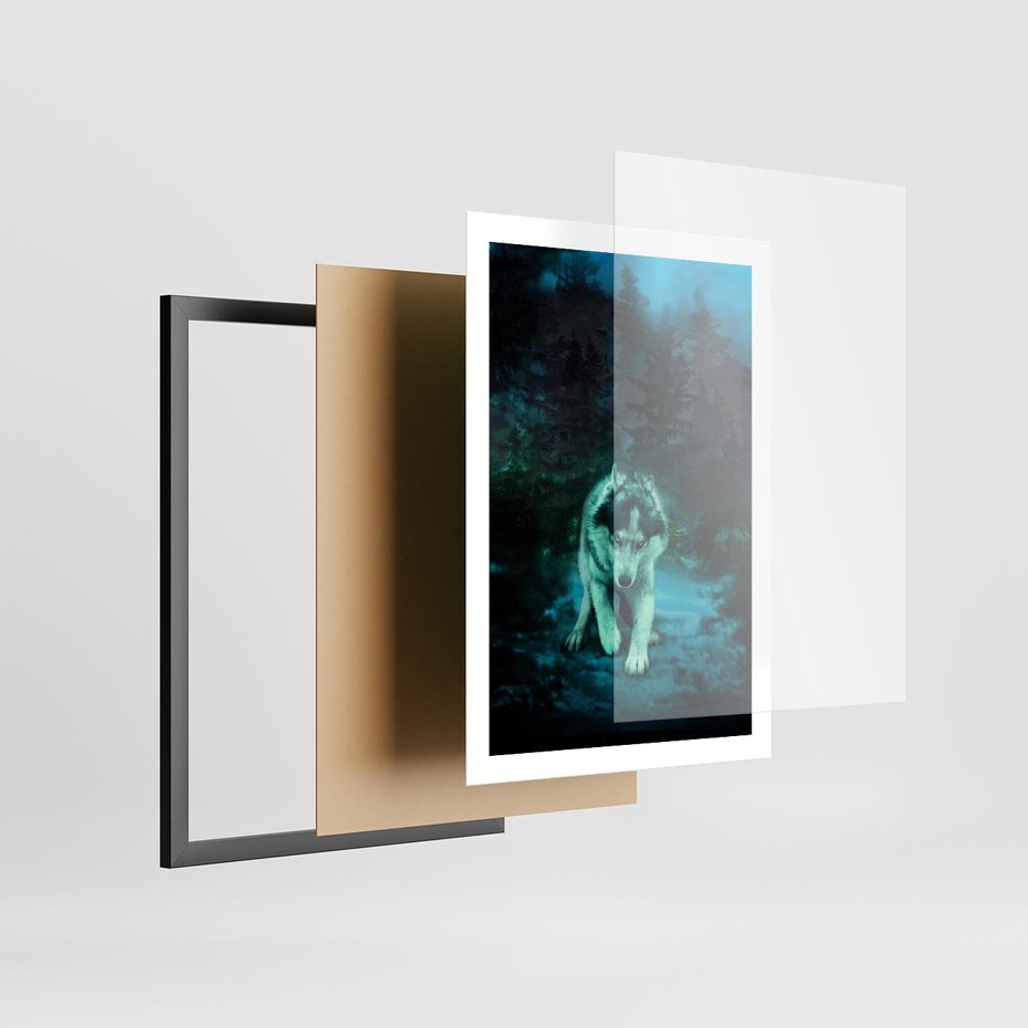 Plakat w ramie 50x70 - Siła i wdzięk natury - wilk, husky - rama czarna