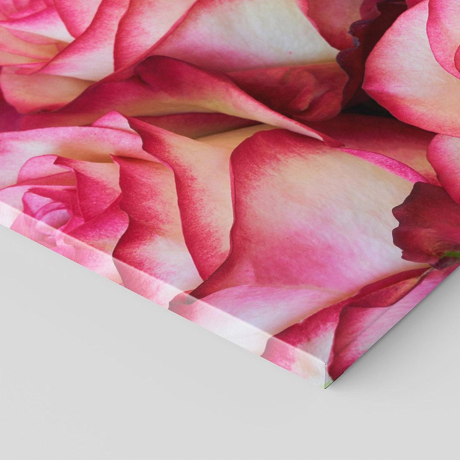 Obraz na płótnie 150x50 - Różany urok - kwiaty, róże