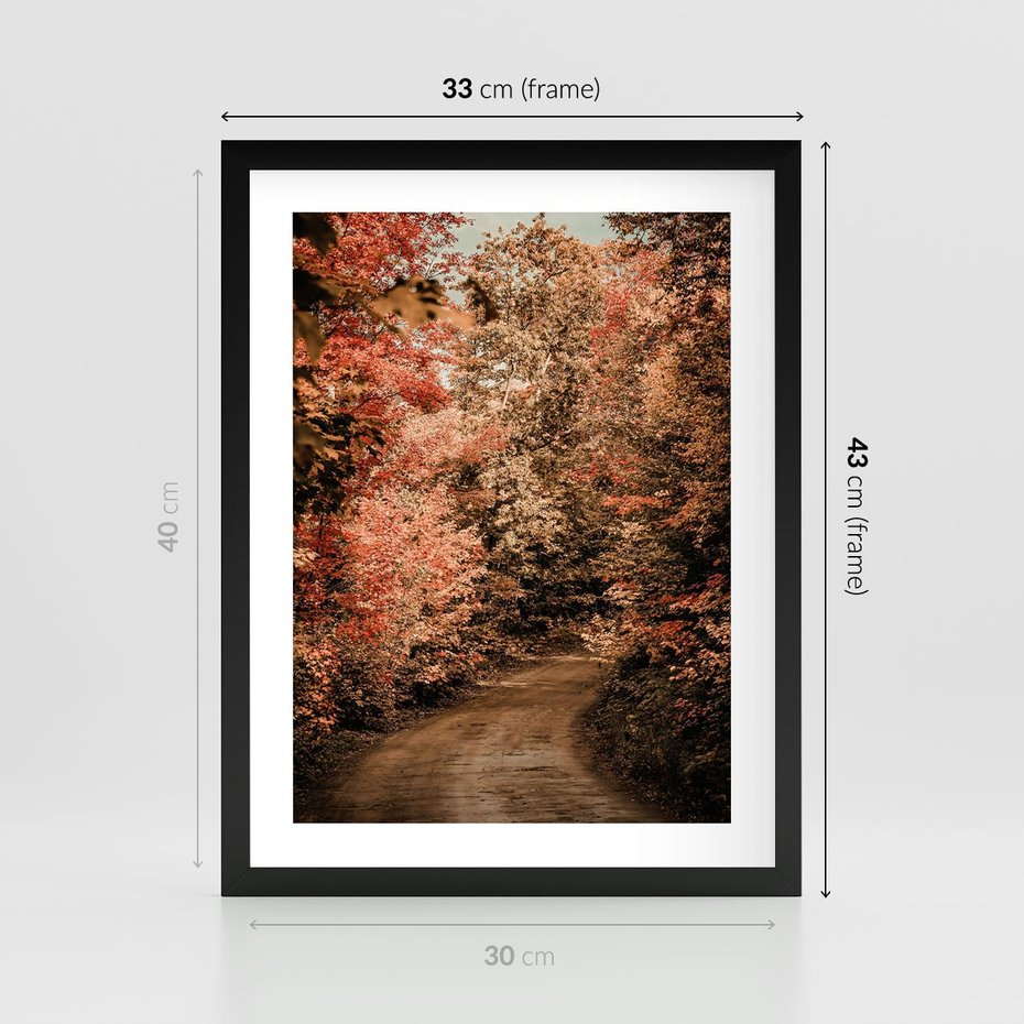 Plakat w ramie 30x40 - Obraz przedstawia jesienne drzewa i czerwone liście na ścieżce w lesie. Ta sceneria doskonale oddaje urok i kolorystykę jesieni w lesie. - las, jesień - rama czarna