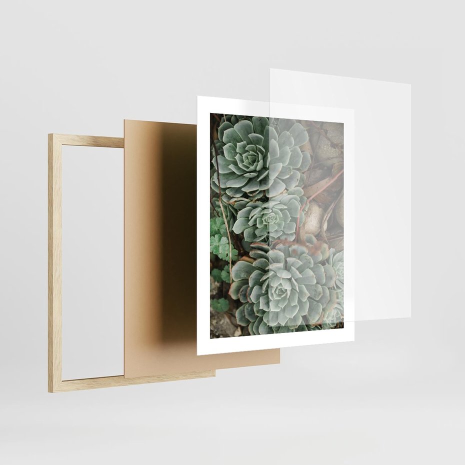 Plakat w ramie 40x50 - Zielona Uroda Sukulentów - sukulenty, zielone liście - rama drewno