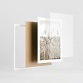 Plakat w ramie 30x40 - Nostalgiczny Pejzaż - suche trawy, pole - rama biała