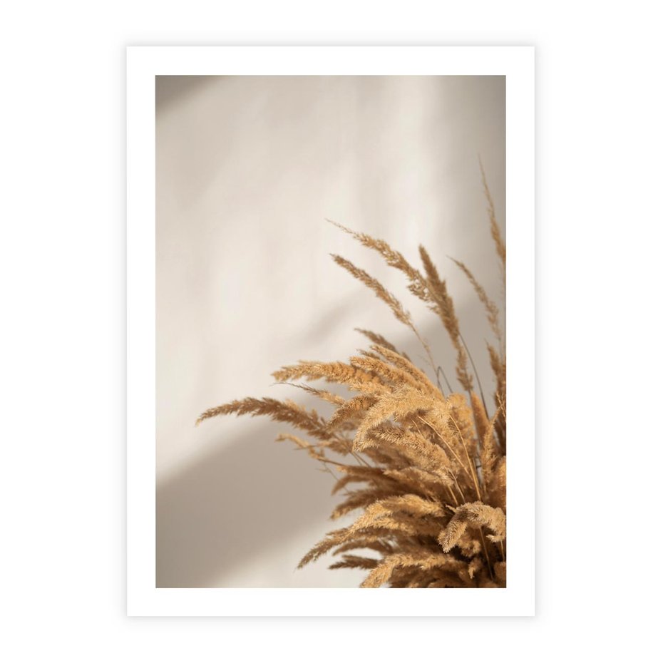 Plakat bez ramy 30x40 - Swobodne trawy boho - boho, suche