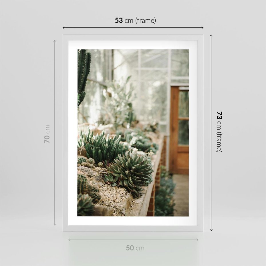 Plakat w ramie 50x70 - Sukulenty w Szklarni - sukulenty, w szklarni - rama biała