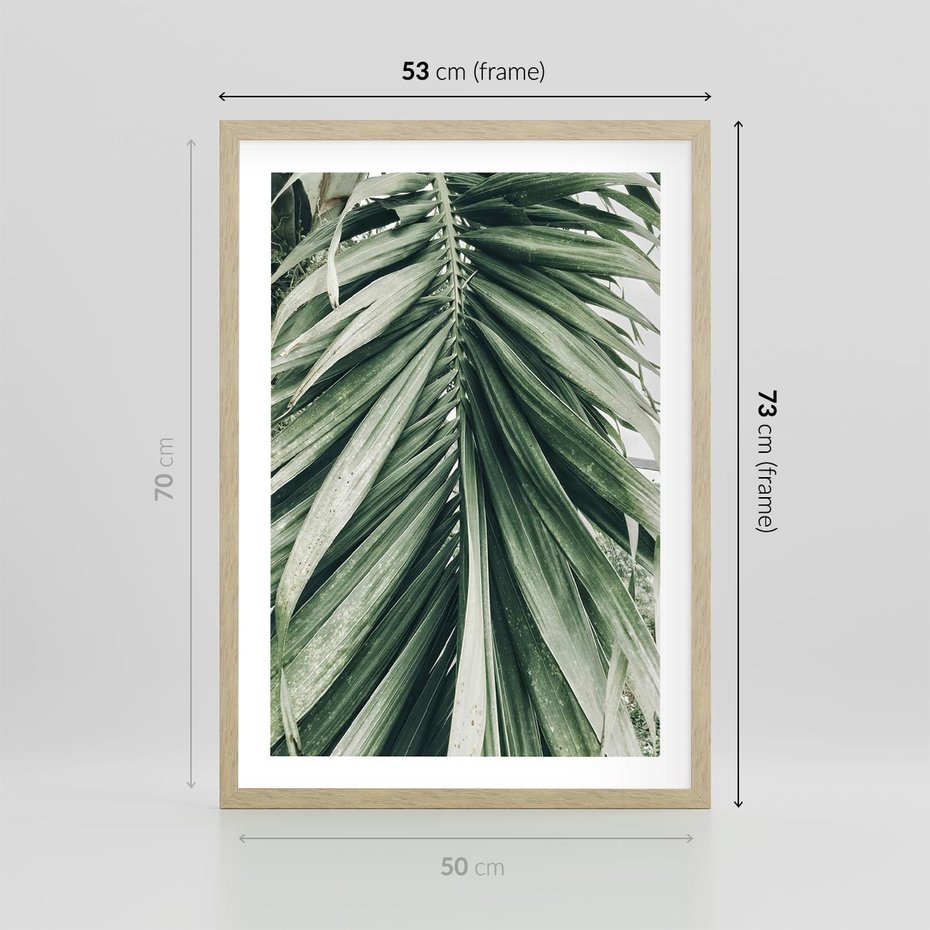 Plakat w ramie 50x70 - Spokojna Piękność Palmowych Liści - palma, liście palmy - rama drewno