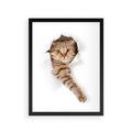 Plakat w ramie 30x40 - Kot w Dziurze - kot, dziura - rama czarna