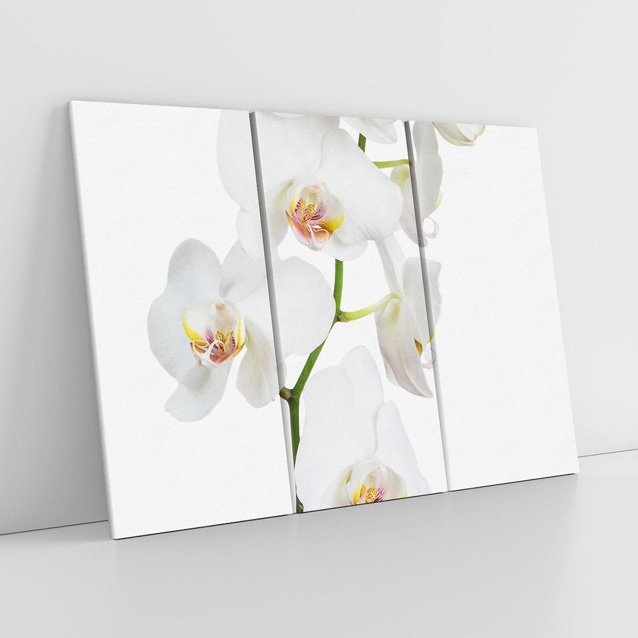 Obraz na płótnie 120x80 - Ekskluzywny Relaks - storczyk, spa