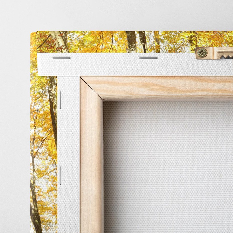 Obraz na płótnie 70x70 - Jesienny Las - Kolorowa Paleta Natury - jesień, drzewa