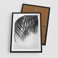 Plakat w ramie 50x70 - Czarno-Biały Kontrast - czarno białe zdjecie, palma - rama czarna