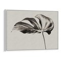 Obraz w ramie 70x50 - Szepczący Liść - szkic, czarno biały - rama biała