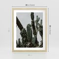 Plakat w ramie 40x50 - Boho oaza wśród kaktusów - kaktusy, pustynia - rama drewno