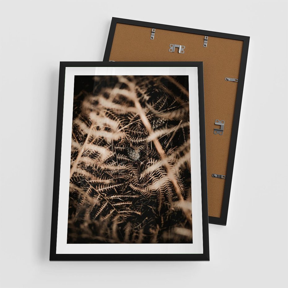 Plakat w ramie 50x70 - Liście i Paprocie - suche liście, paprocie - rama czarna