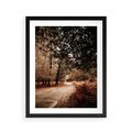 Plakat w ramie 40x50 - Magia Jesieni: Pejzaż Parku w Odcieniach Żółci - jesień, park - rama czarna