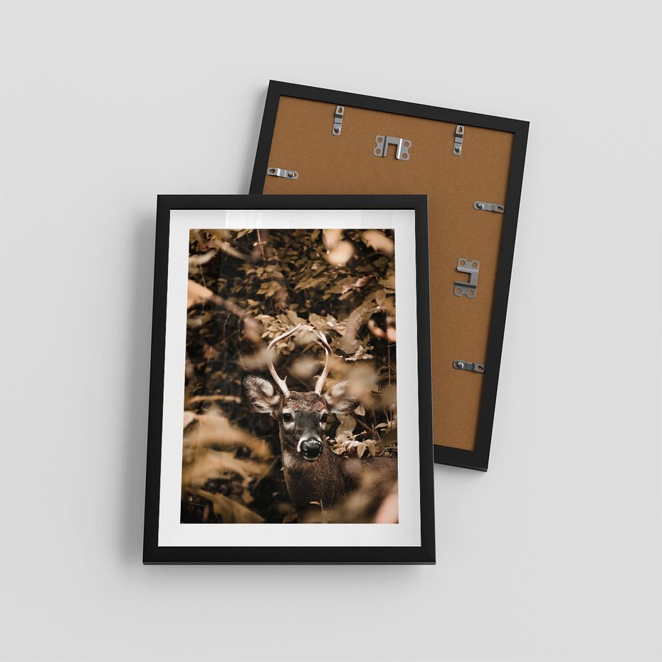 Plakat w ramie 30x40 - Jesienny Jeleń w Lesie - jeleń, w lesie - rama czarna