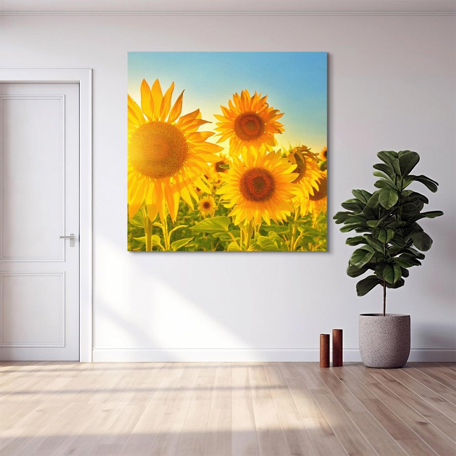 Obraz na płótnie 40x40 - kolorowe promienie - słoneczniki, kwiaty